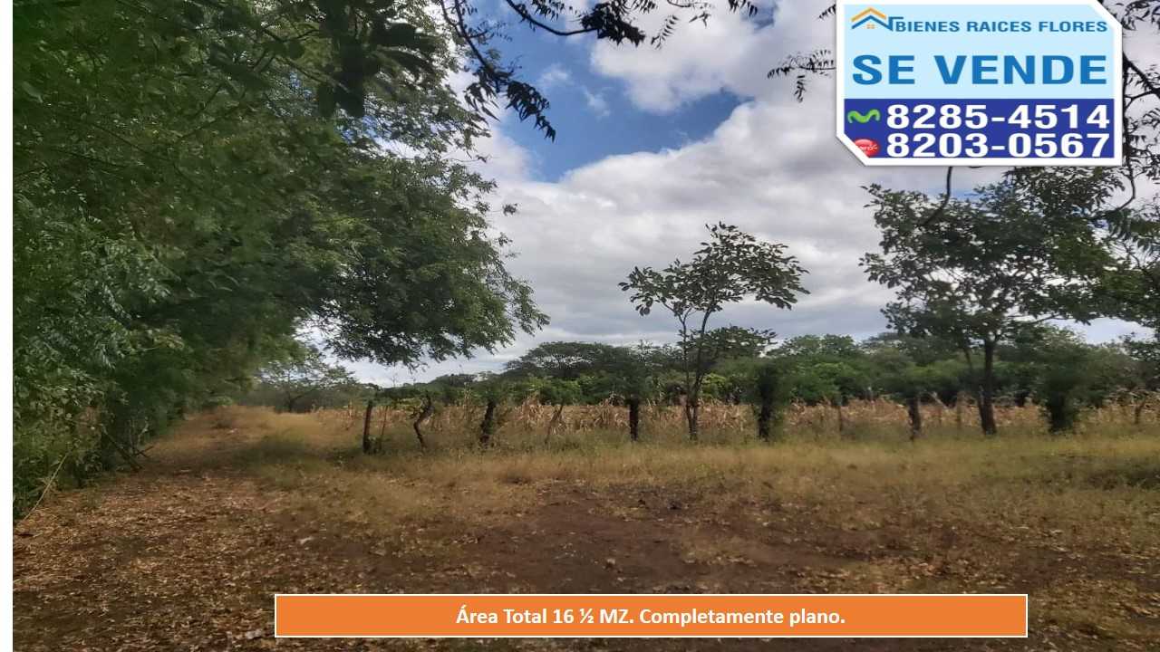 Se Vende Finca en Villa el Carmen  Venta de Terrenos  Bienes 