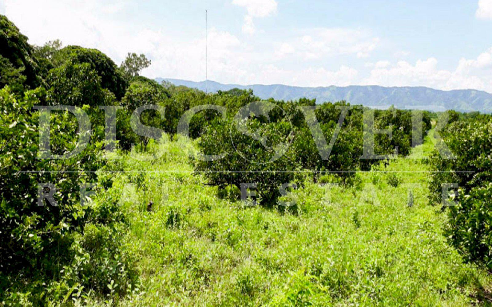 FINCA Y CASA EN VENTA UBICADA EN MATEARE