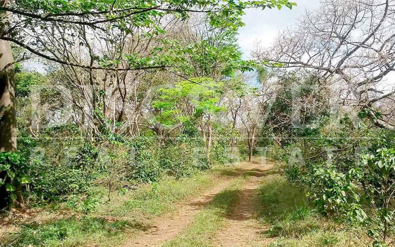 FINCA EN VENTA EN SAN MARCOS.