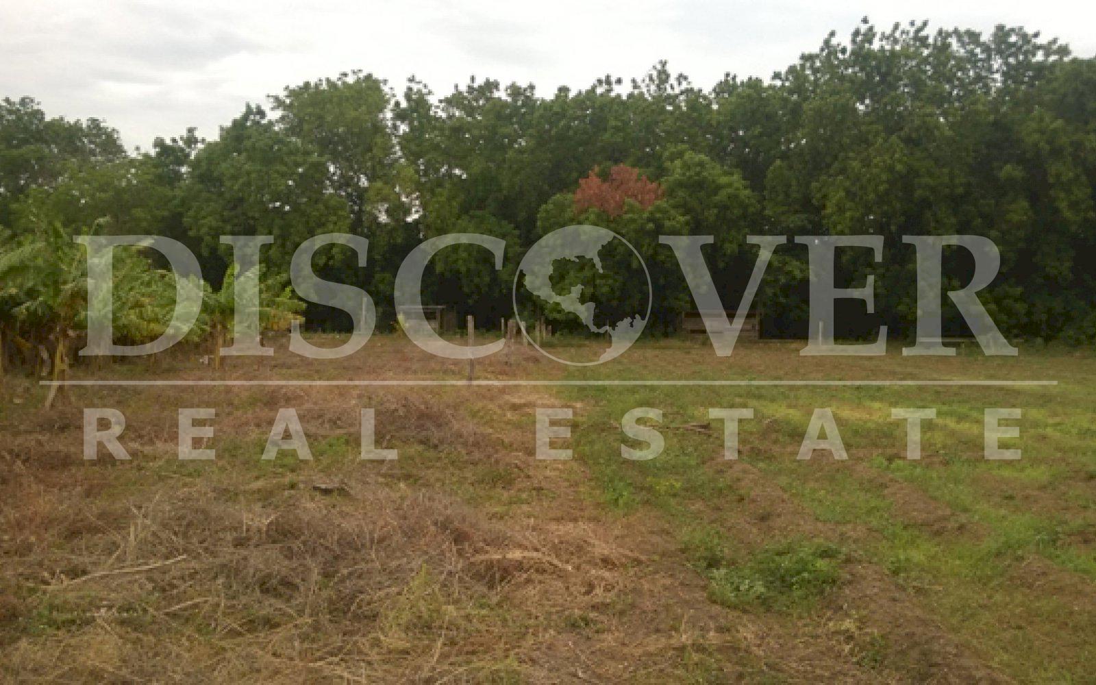 FINCA EN VENTA EN CASARES