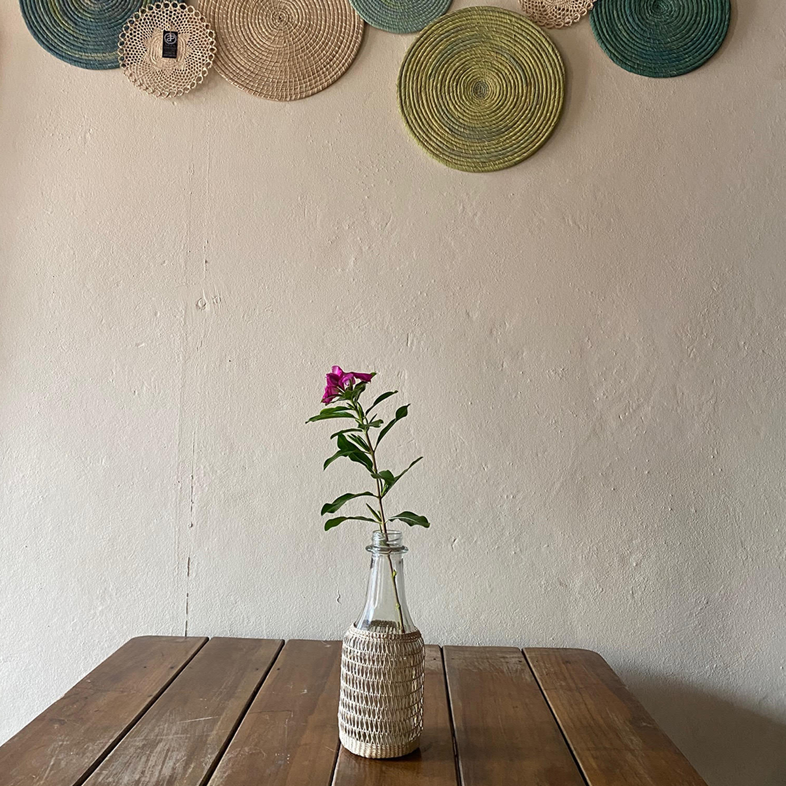 Hermosos  upcycling con pita